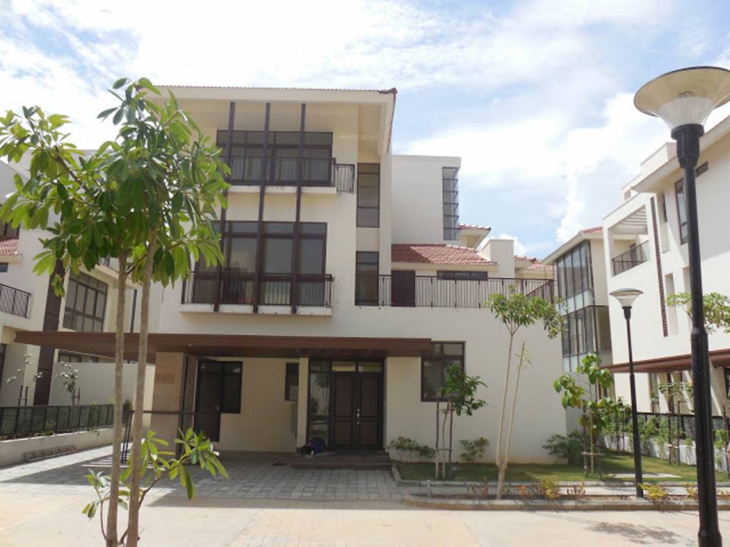 Images for Elevation of Olympia Panache