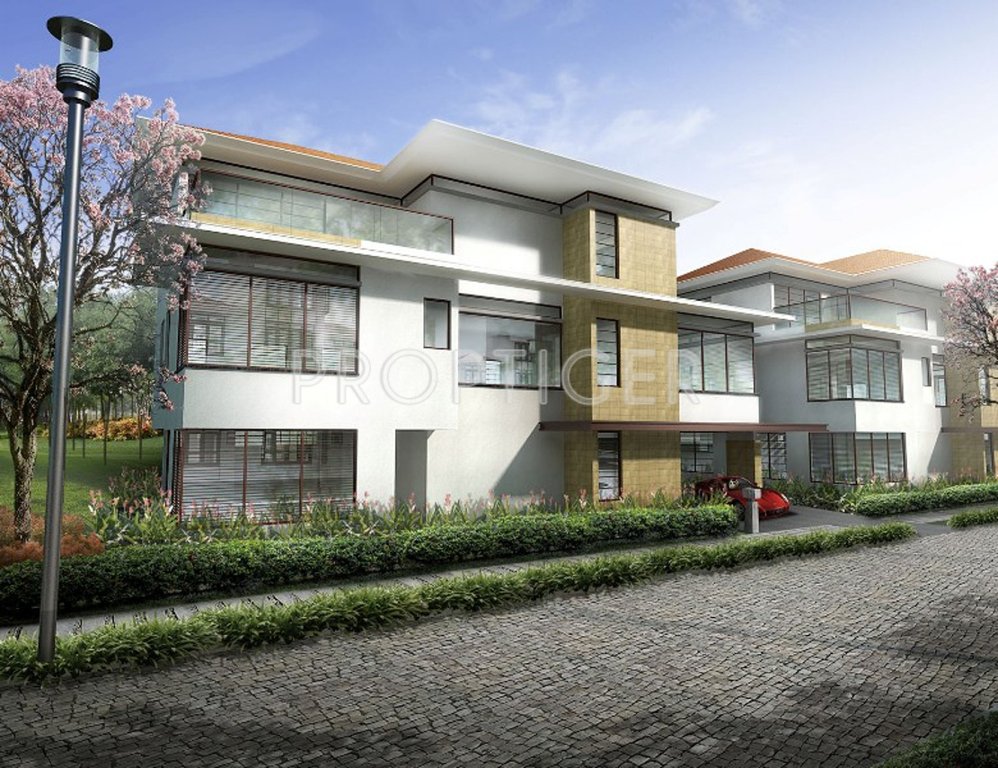  panache Images for Elevation of Olympia Panache