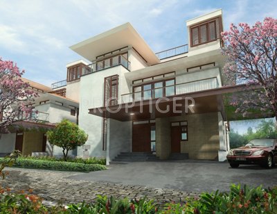  panache Images for Elevation of Olympia Panache