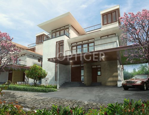  panache Images for Elevation of Olympia Panache