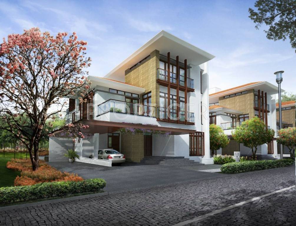  panache Images for Elevation of Olympia Panache