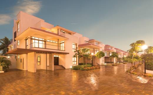 panache Images for Project Images for Project