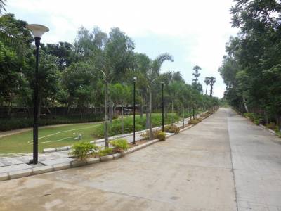 Images for Amenities of Olympia Panache