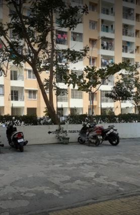 Ozone Greens Block D3