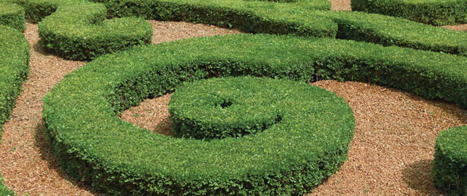  greens Images for Amenities of Ozone Greens