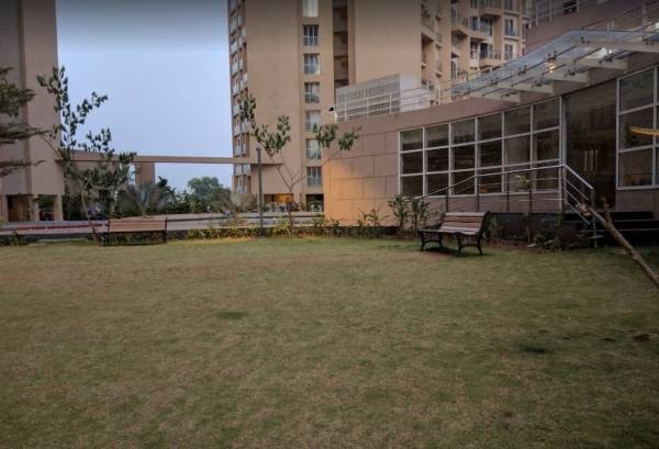 Landscape Garden and Tree Planting elementa Landscape Garden and Tree Planting