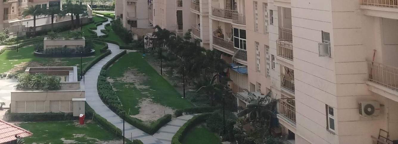  vanalika Landscape Garden and Tree Planting