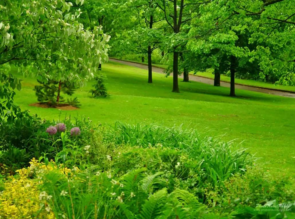 windermere Images for amenities