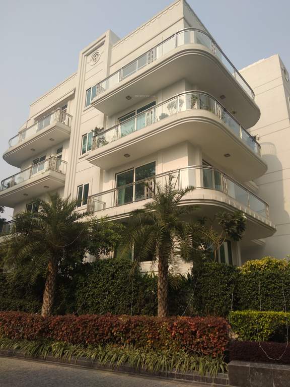 kings court Images for Project