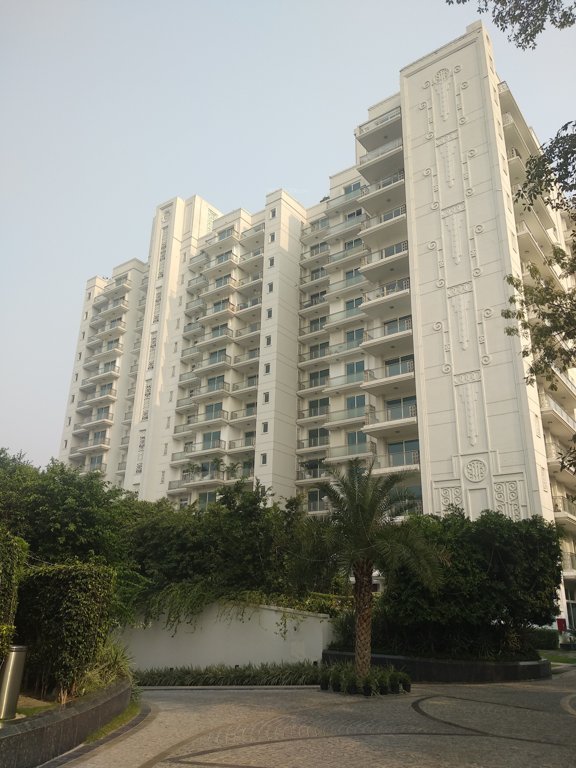 kings court Images for Project