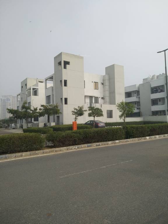 premium floors Images for Project