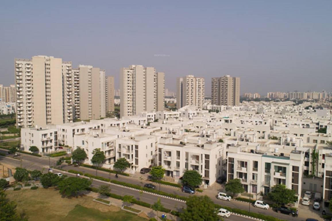 premium floors Images for Project