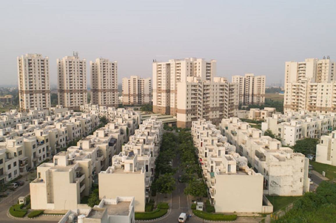 premium floors Images for Project