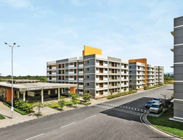 Elevation new-haven Elevation