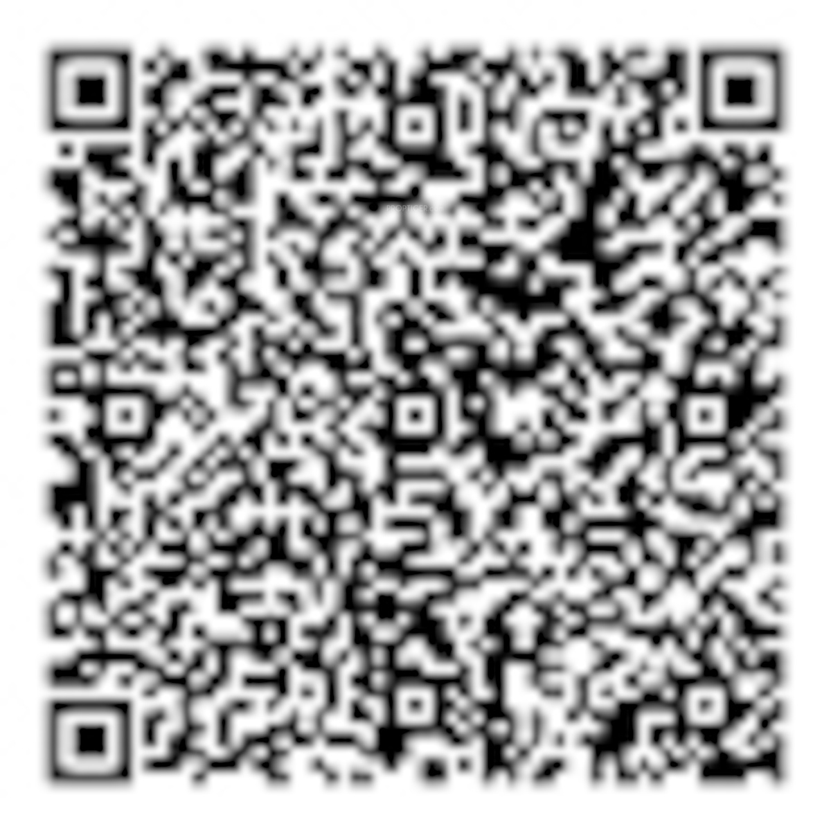 QR Image