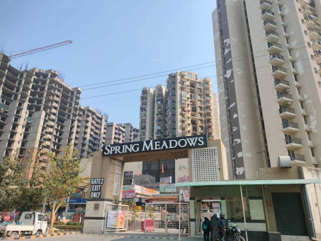 spring meadows Elevation