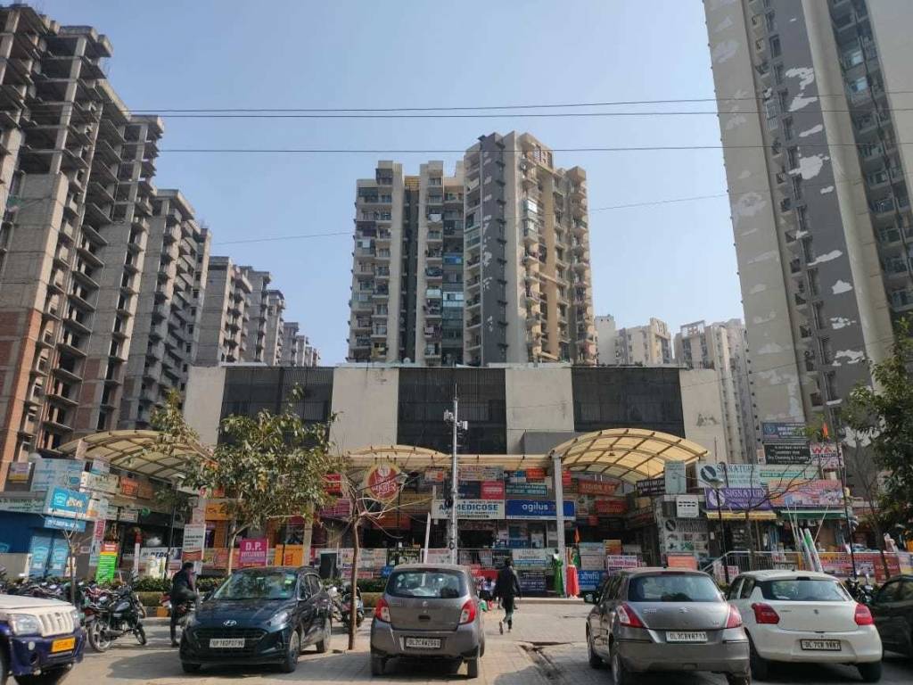 spring meadows Elevation