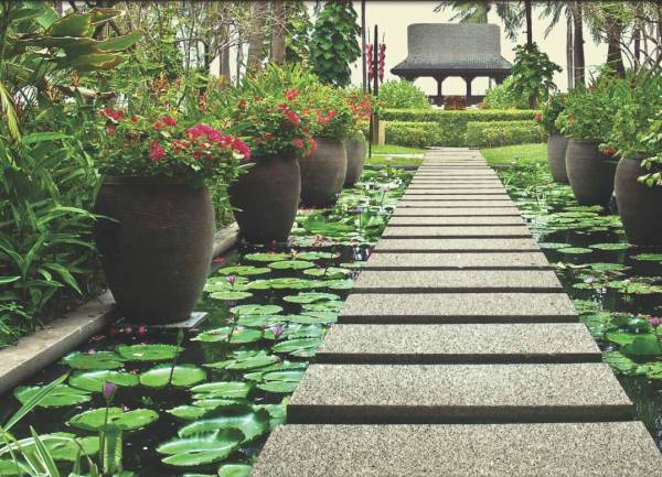 Images for Amenities of OM Tropica