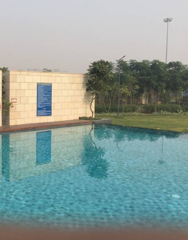  emerald floors Swimming Pool