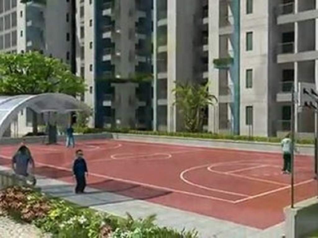 heartbeat city Basketball Court