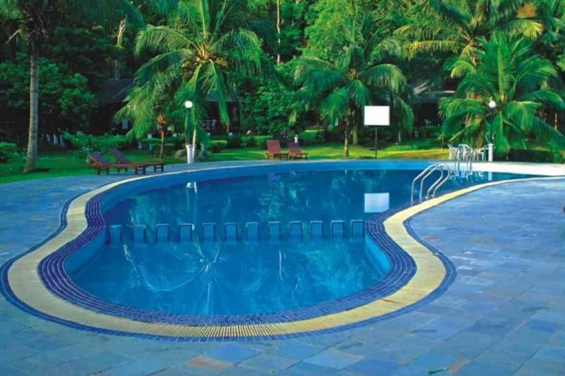 heartbeat city Swimming Pool