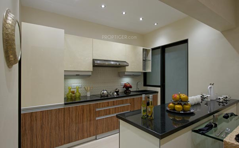 Images for Main Other of RNA Viva