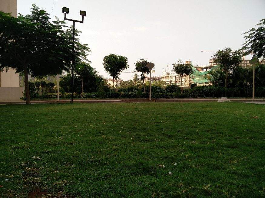  aqua Landscape Garden and Tree Planting