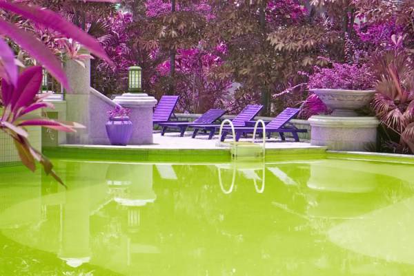  arco Images for amenities