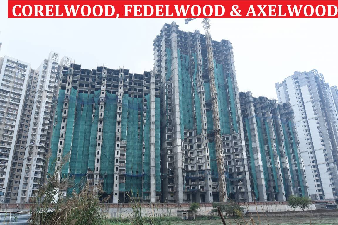 my woods Construction Status Feb 22