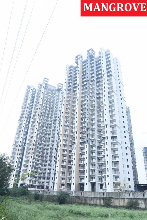 my woods Construction Status Feb 22