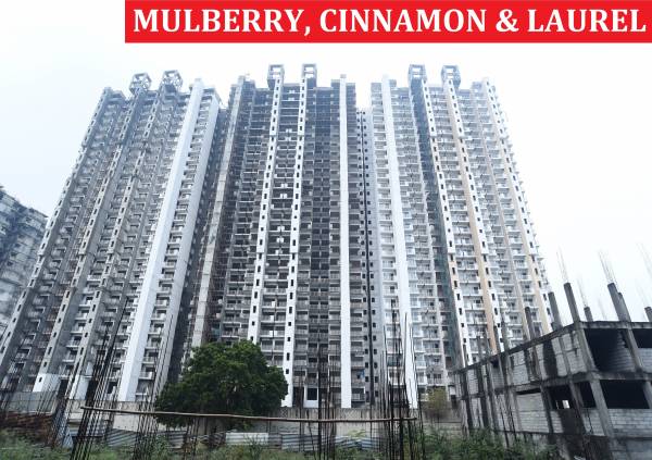 Construction Status Feb-22 my-woods Construction Status Feb-22