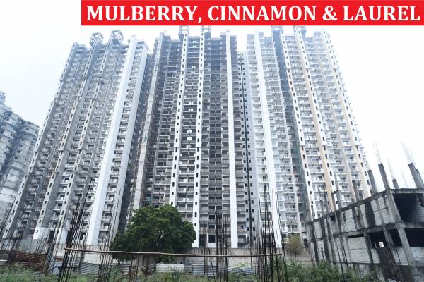 Construction Status Feb-22 my-woods Construction Status Feb-22