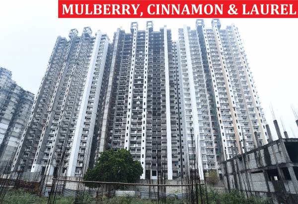 Construction Status Feb-22 my-woods Construction Status Feb-22