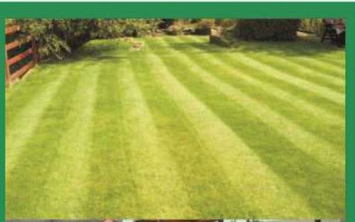  ariiana Landscaped Gardens