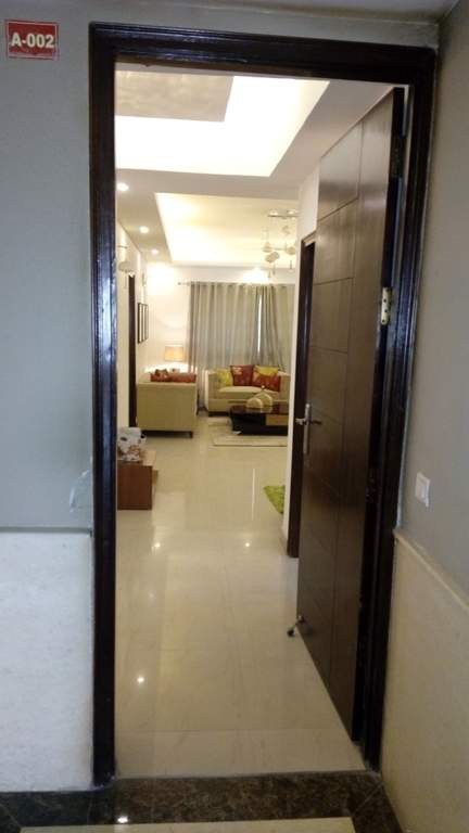 the golden palms Images for Main Other of Nimbus The Golden Palms