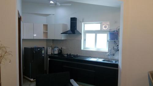 Images for Main Other of Nimbus The Golden Palms the-golden-palms Images for Main Other of Nimbus The Golden Palms