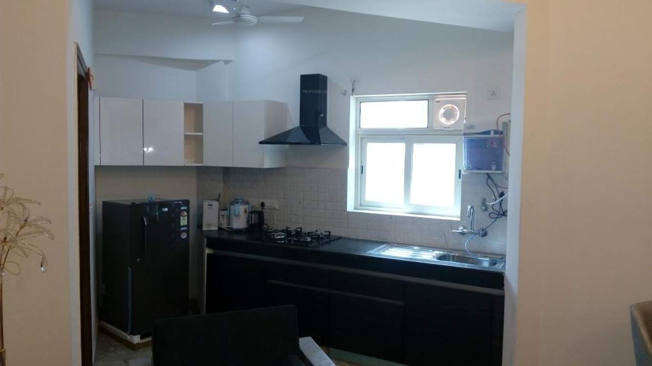 the golden palms Images for Main Other of Nimbus The Golden Palms