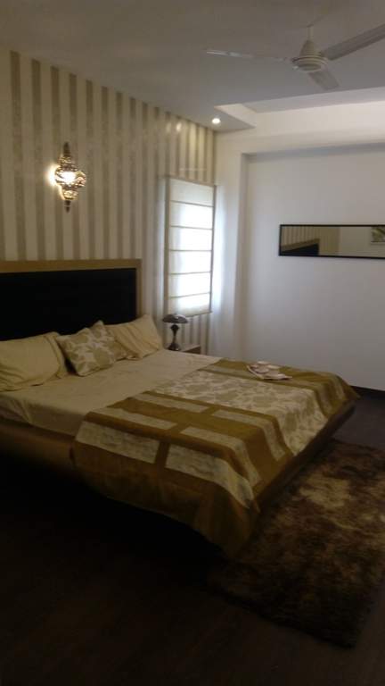 the golden palms Images for Main Other of Nimbus The Golden Palms