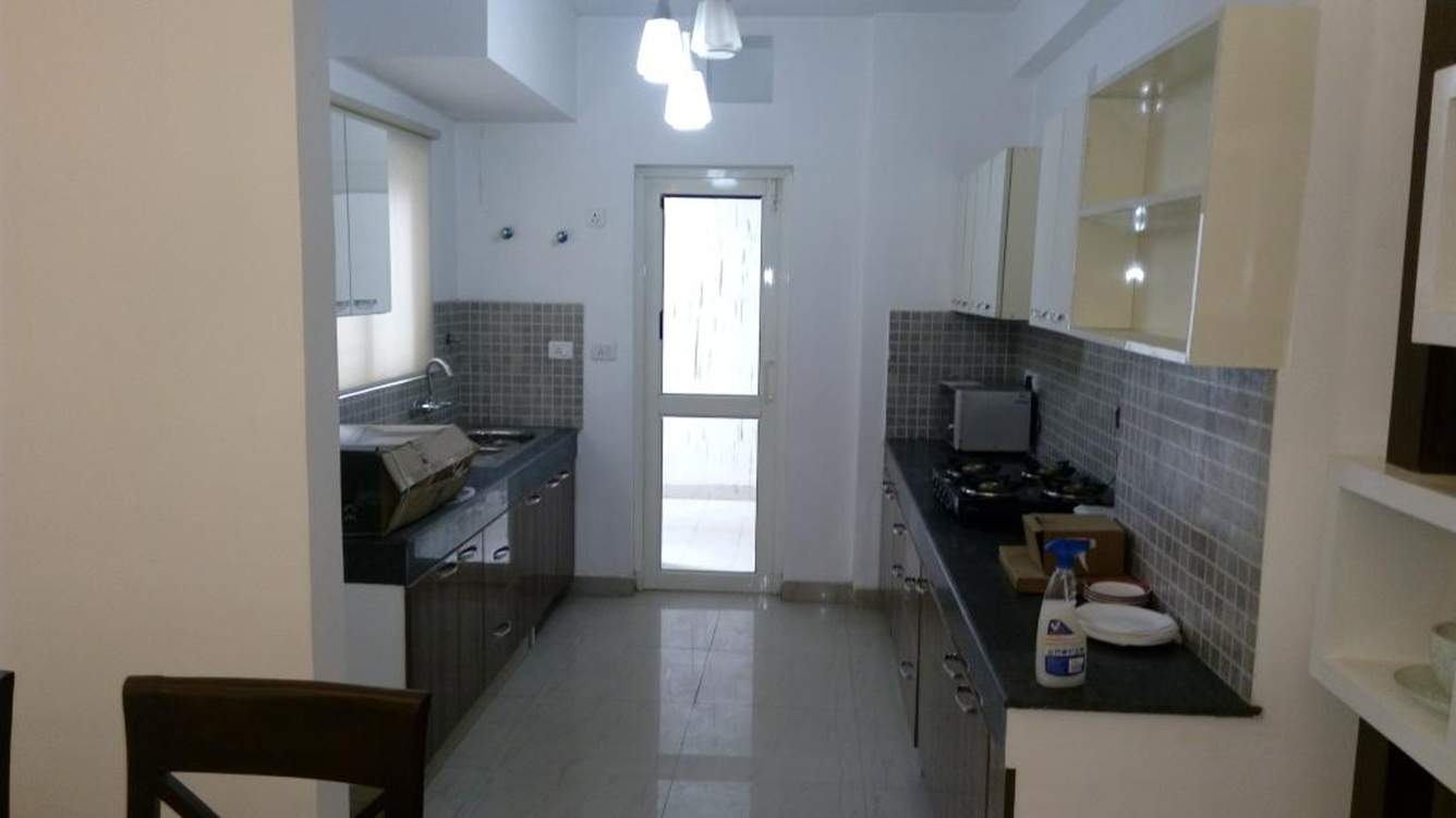 the golden palms Images for Main Other of Nimbus The Golden Palms