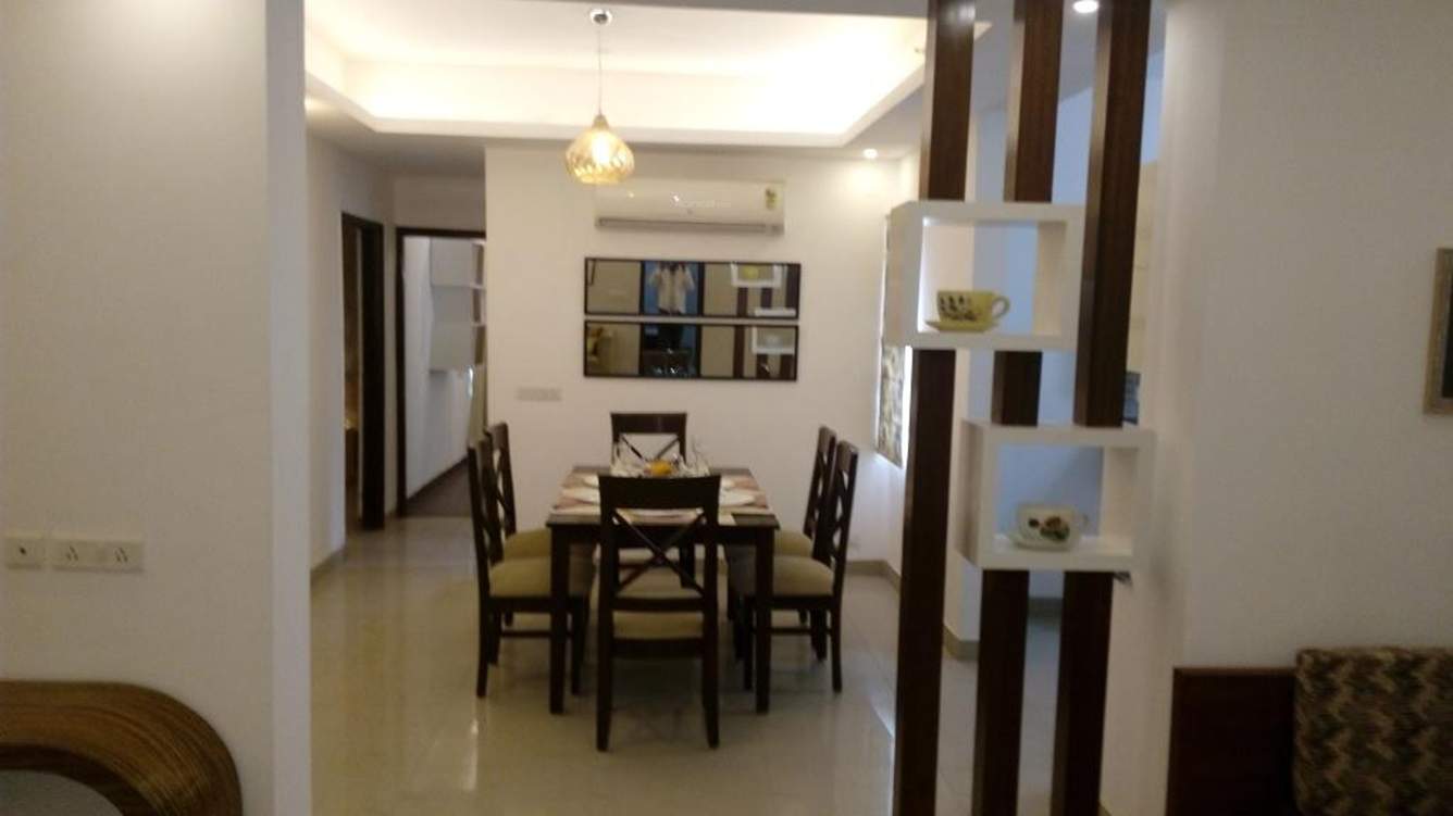 the golden palms Images for Main Other of Nimbus The Golden Palms