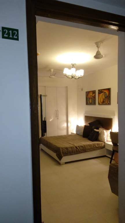 the golden palms Images for Main Other of Nimbus The Golden Palms