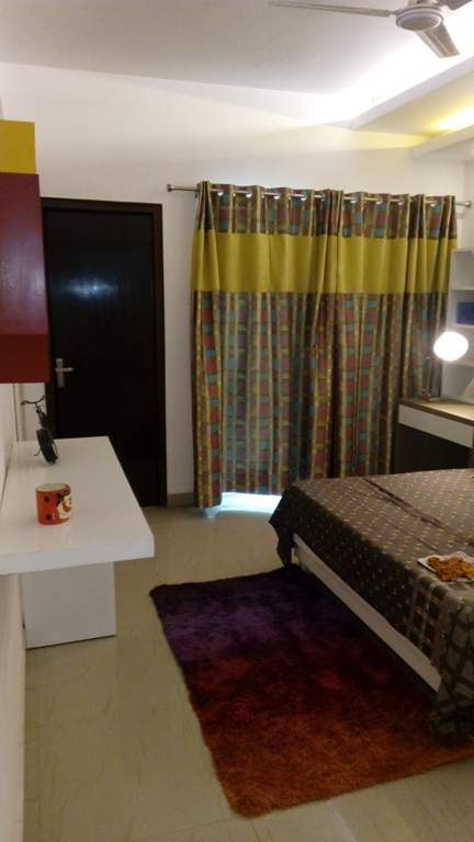 the golden palms Images for Main Other of Nimbus The Golden Palms