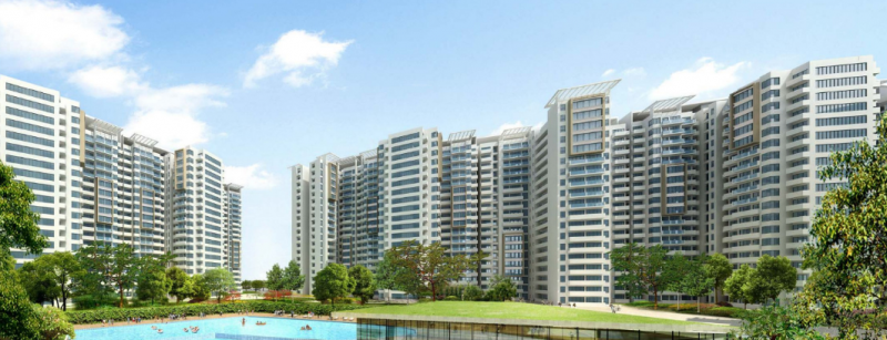  pan-oasis Elevation