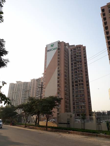 Elevation pan-oasis Elevation