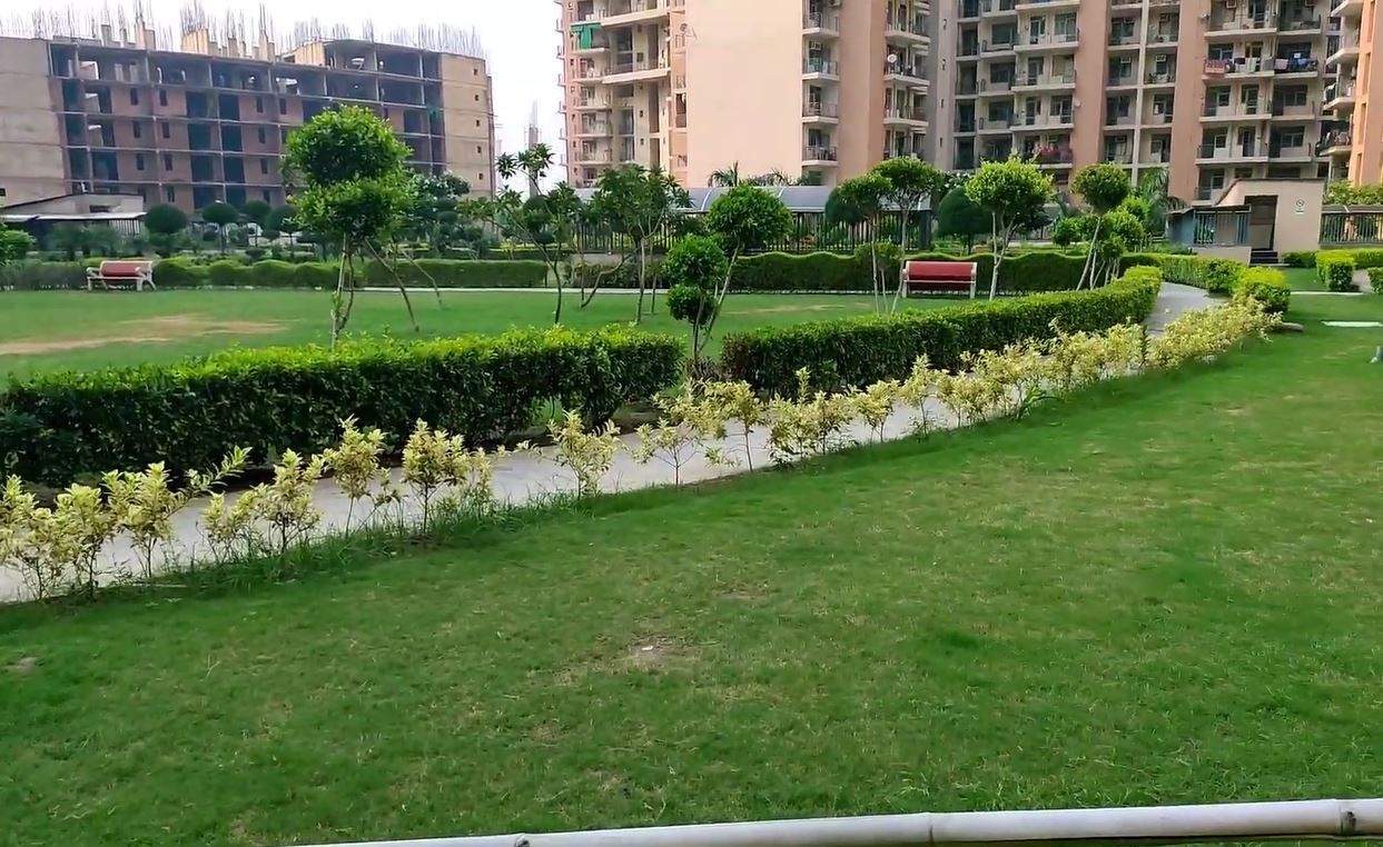  pan oasis Landscape Garden and Tree Planting