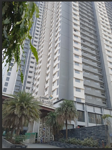 alta monte Elevation