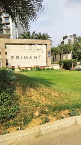  primanti Landscape Garden and Tree Planting