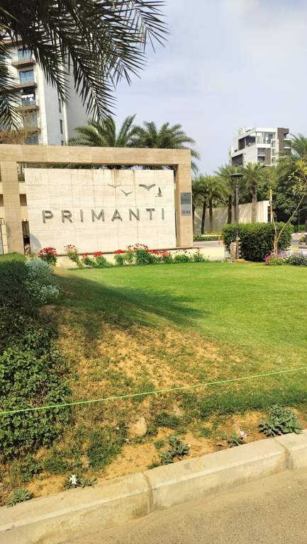  primanti Landscape Garden and Tree Planting