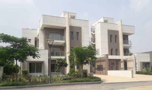  international-city Elevation