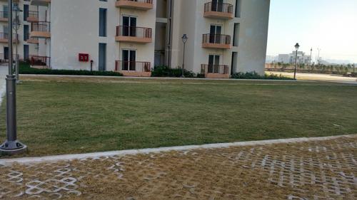  privvy-the-address Landscape Garden and Tree Planting